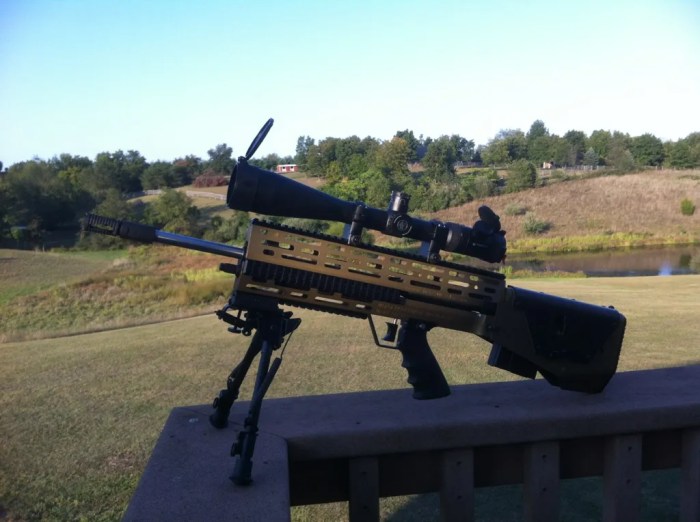 Tips on how to Establish M1A A Complete Information