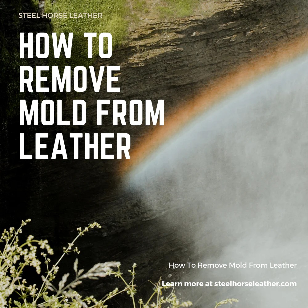 How to get mold out of leather