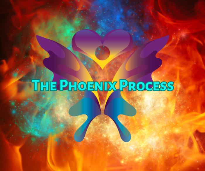 How to use the phoenix
