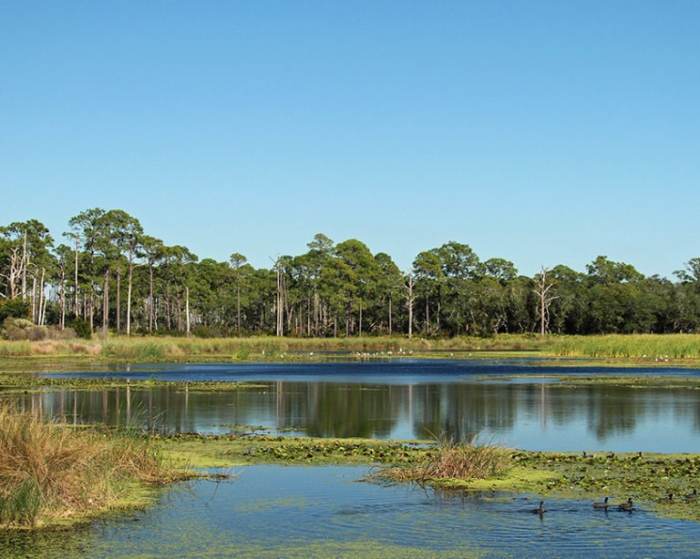 Wakulla appraiser millage Wakulla appraiser millage