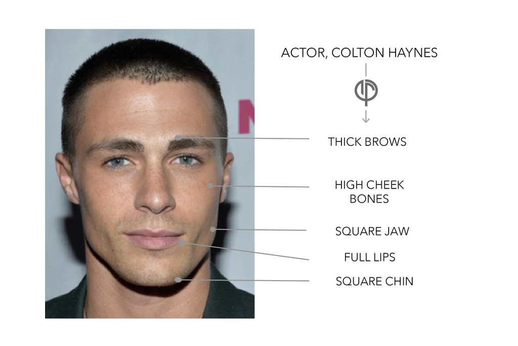 Learn how to Get Excessive Cheekbones A Complete Information