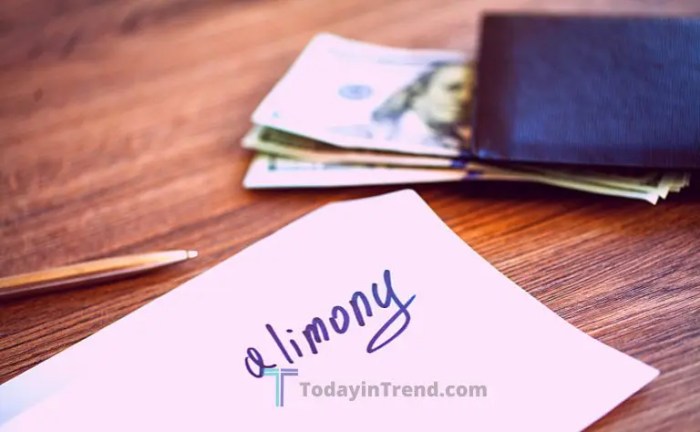 Illinois Alimony Avoidance Methods