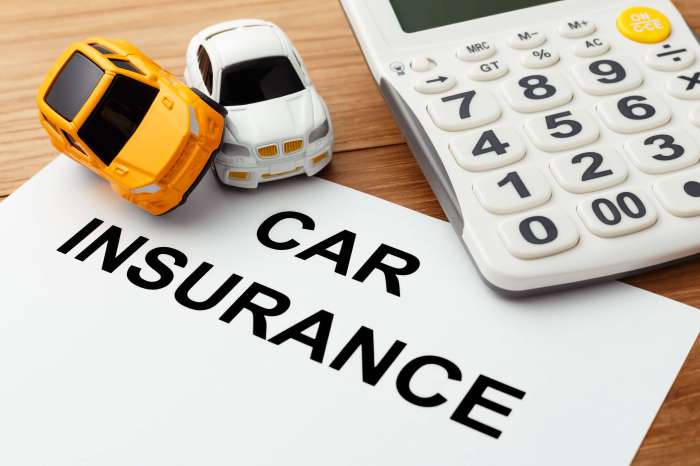 Cant Afford Automobile Insurance coverage A Deep Dive