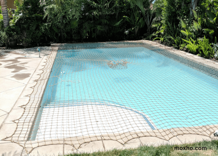 How to get dirt out of pool