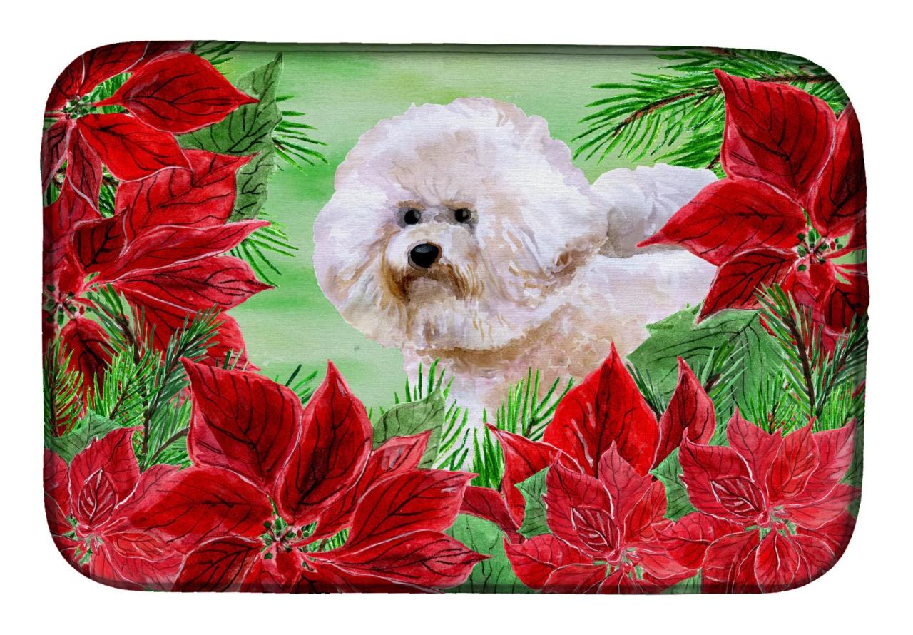 Promote Your Bichon Frise in Albany, NY A Information