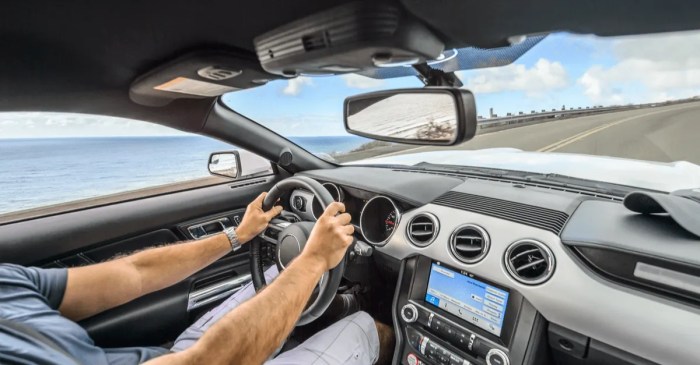California Automobile Insurance coverage 14-Day Wait  The Lowdown