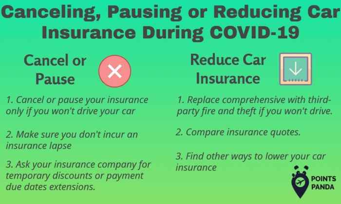 Can I Pause My Automotive Insurance coverage?  A Deep Dive