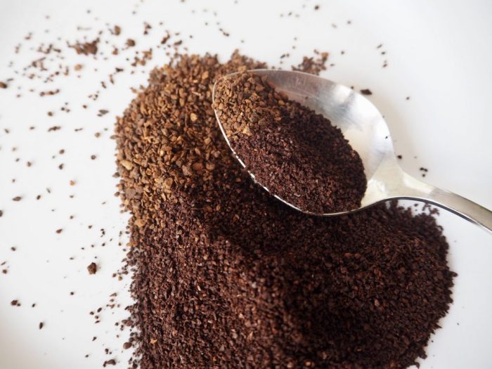 Chicory coffee root make survival mom weed common diy thesurvivalmom discovered simple story used here can choose board Chicory coffee root make survival mom weed common diy thesurvivalmom discovered simple story used here can choose board