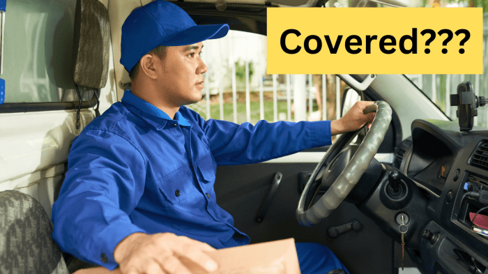 Firm Automobile Driving Insurance coverage Readability