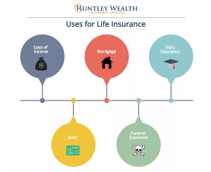 Open care life insurance cost