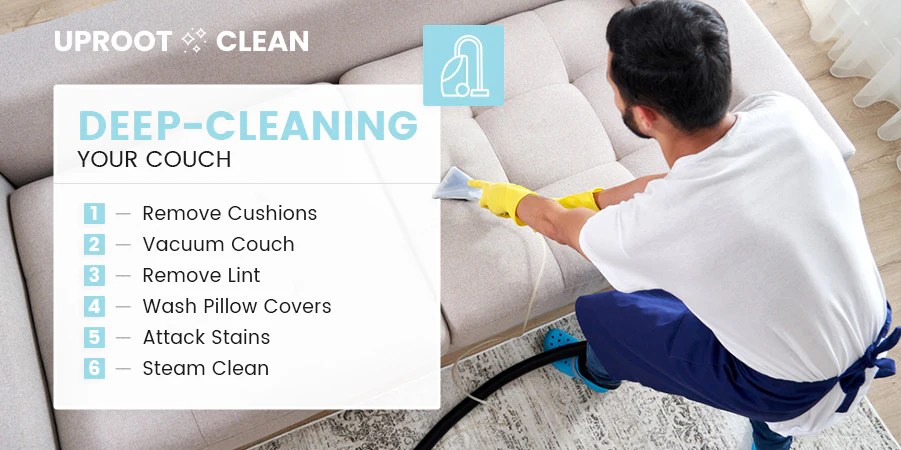 Easy methods to Clear Throw Up Off a Sofa A Complete Information