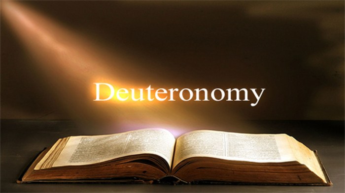 Deuteronomy 28 Fashionable-Day Utility