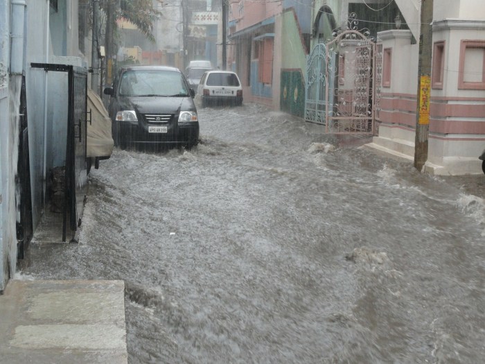 Does Insurance coverage Cowl Water Harm Automotive? A Information