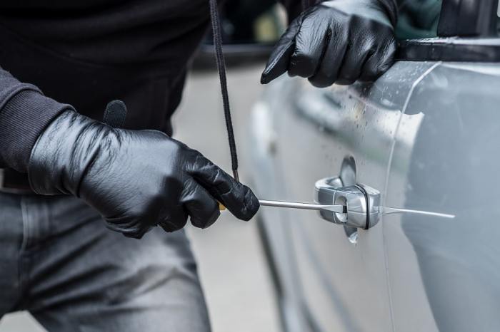 Automobile Thefts Influence on Insurance coverage Premiums