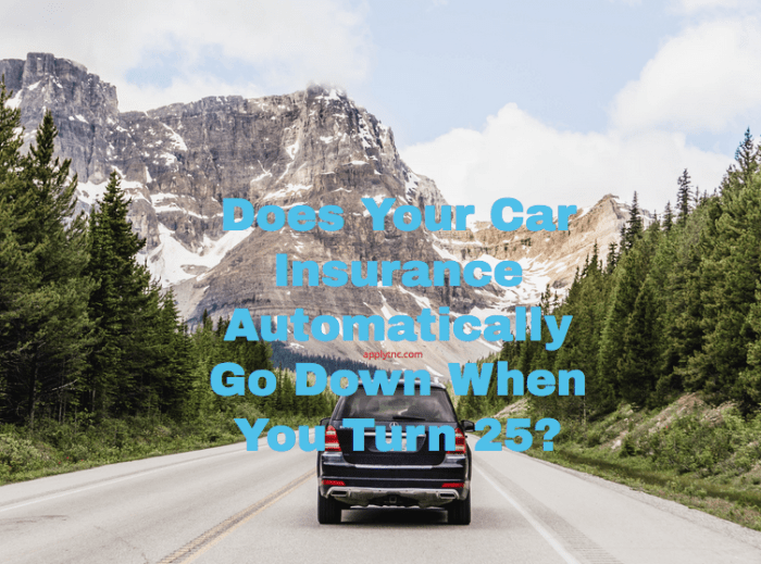 Does insurance go down when car is paid off