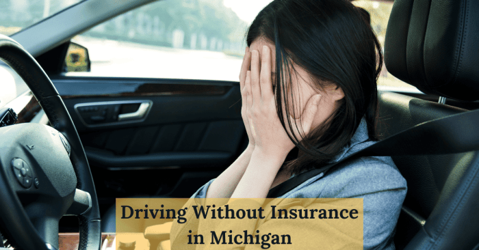 Insurance register vehicle without can makor Insurance register vehicle without can makor