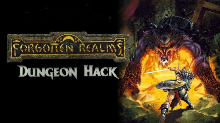 How you can Run Dungeon Hack in DOSBox – A Complete Information