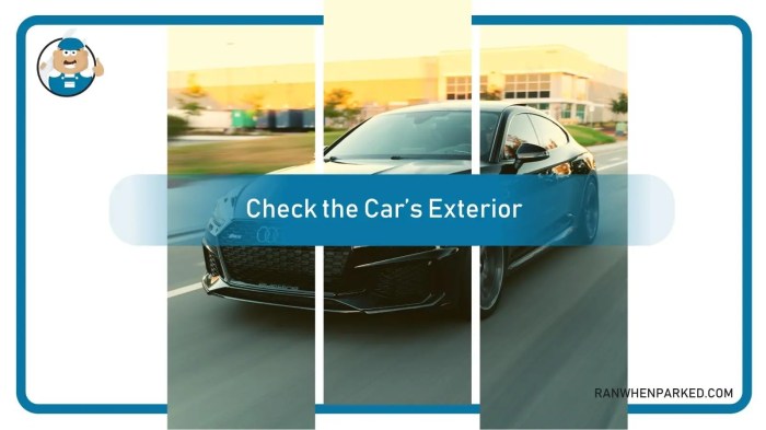 How to tell what trim my car is
