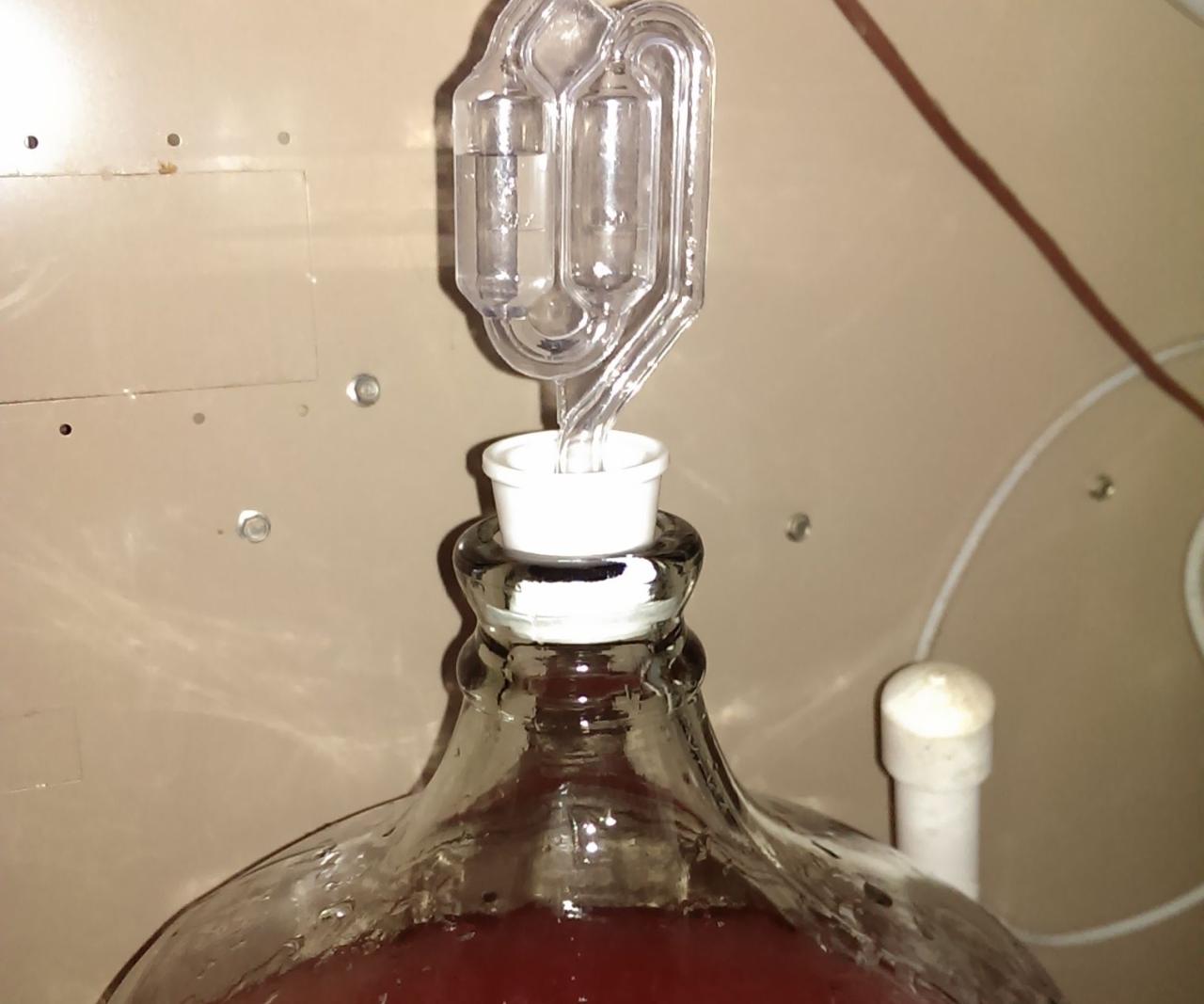 How to make wine from muscadine
