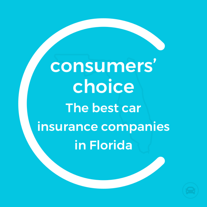 Car insurance boca raton fl