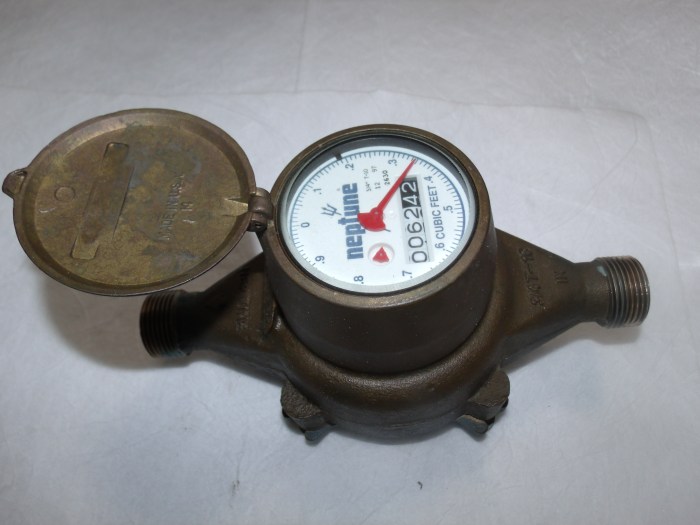 How to read a neptune water meter
