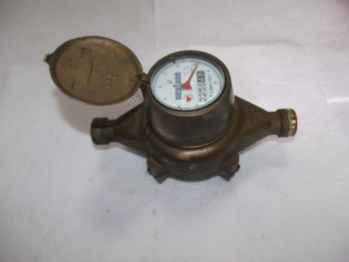 Neptune t10 potable meters gallons Neptune t10 potable meters gallons