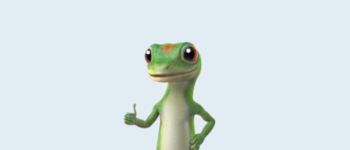Gecko Automobile Insurance coverage Your Information