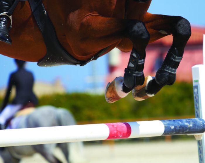 Www.virginiaequestrian.com how to