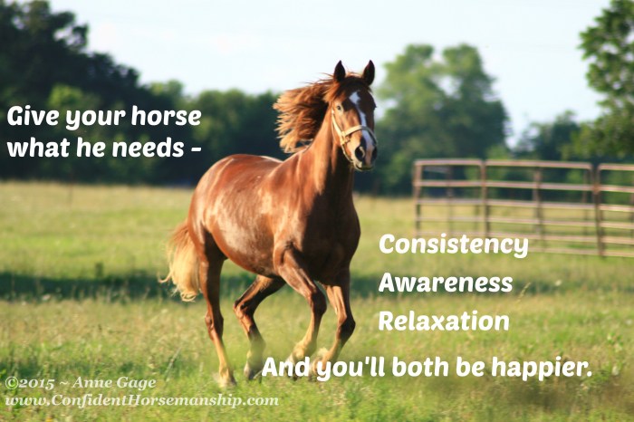 Assist a Fretful Horse A Complete Information
