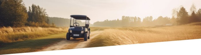 Does Automotive Insurance coverage Cowl Golf Cart Accidents? A Important Evaluation