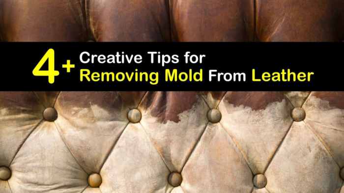 Find out how to Clear Mildew Off Leather-based Your Final Information