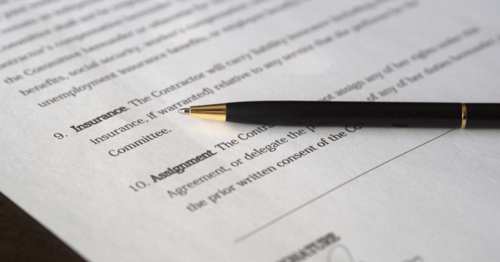 Easy methods to Renew Automotive Insurance coverage A Full Information