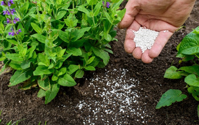 How long does fertilizer take to work