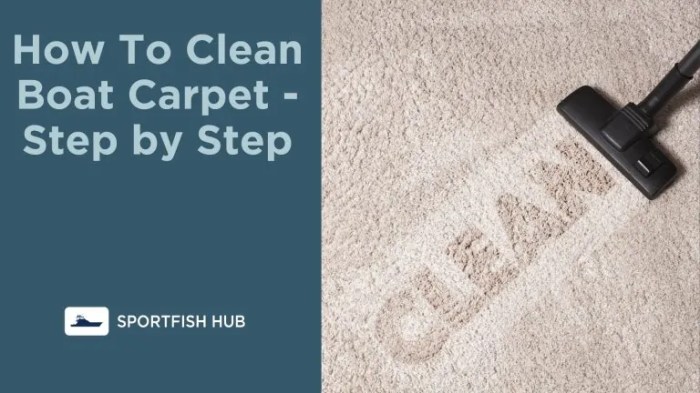 How to clean boat carpet