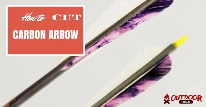 Learn how to Minimize Carbon Arrows A Complete Information