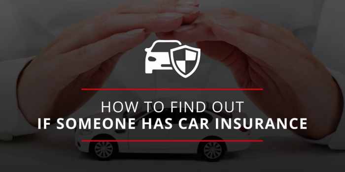 How do I discover out if my automobile is insured?  Legit Checks