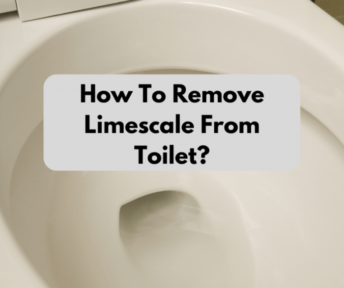 Methods to Clear Limescale from Rest room Bowl