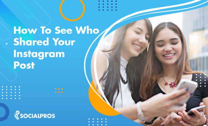 How to see who shared my post on instagram