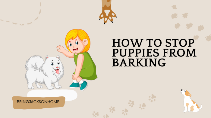 Barking How to get a puppy to stop barking in kennel