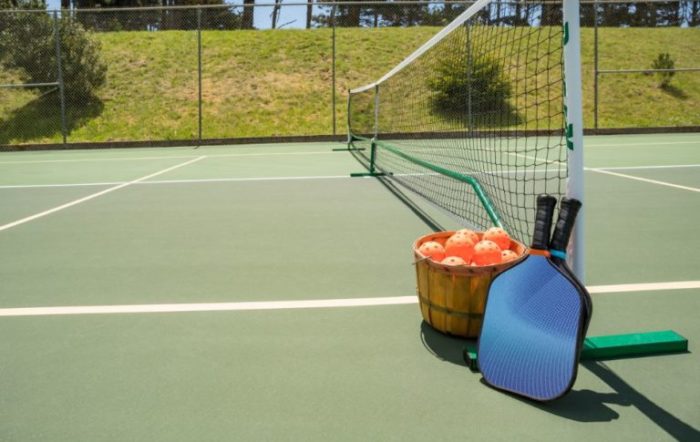 Methods to Change into a Professional Pickleball Participant
