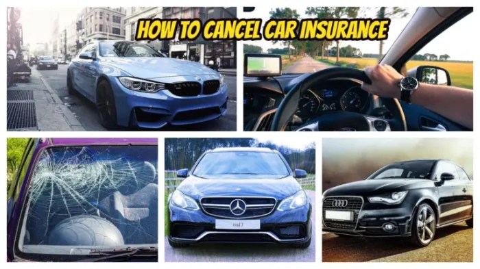 How to cancel nationwide car insurance