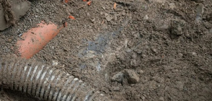Learn how to Discover Septic Area A Information