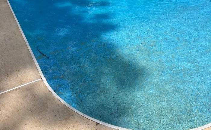 How to reduce phosphates in pool