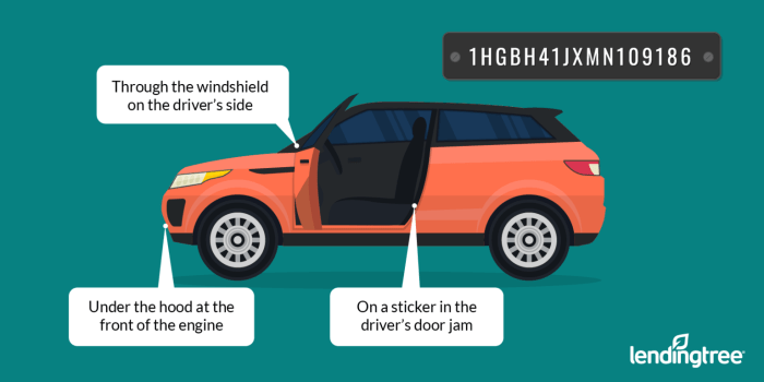Verify Automotive Insurance coverage by VIN Quantity A Information