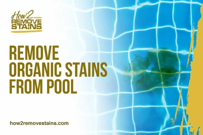 Stain diagnose any remover brown Stain diagnose any remover brown