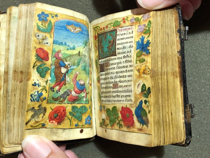 Learn Your Manuscript With out Printing