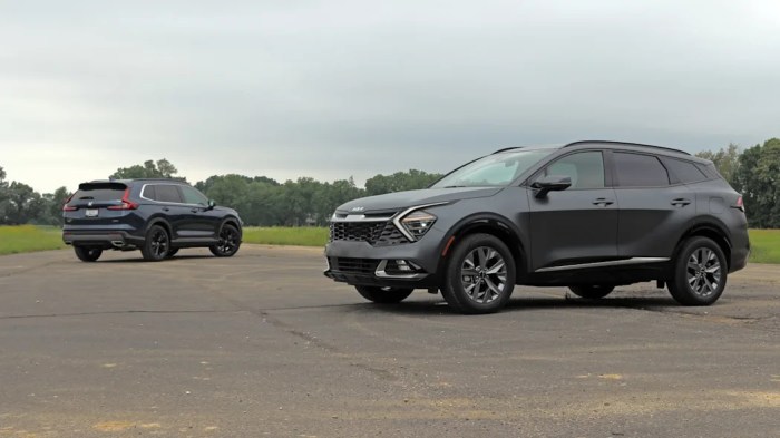 Sportage Hybrid 2024 Well worth the Wait?