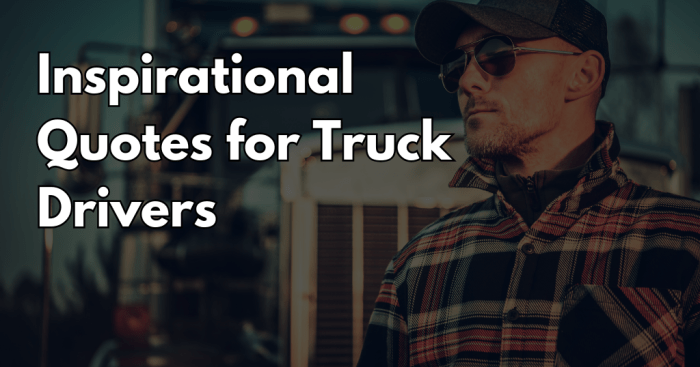 Allintitle:car insurance quotes for high risk drivers
