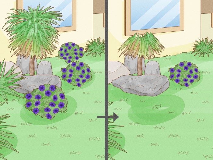 The way to Kill Ants within the Yard – Your Final Information