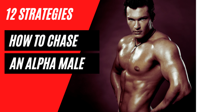 How to chase an alpha